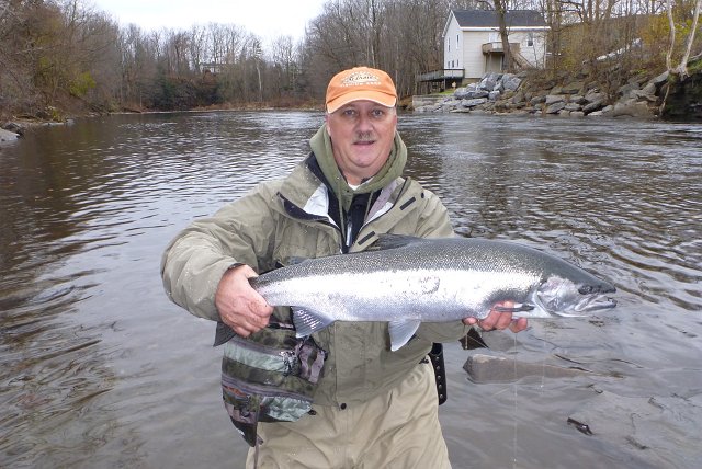 Bob Sterling with a November Salmon River Steelhead.jpeg - Bob Sterling with a November Salmon River Steelhead